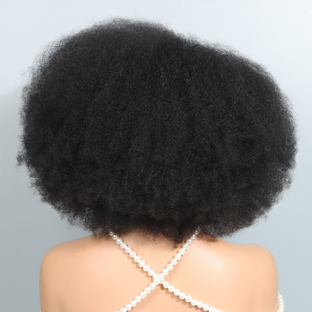 14 inch Afro pruiken voor zwar - Glueless Wear And Go Human Hair Wig recensie en prijs